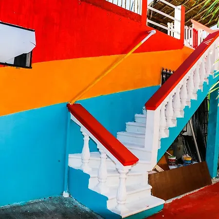 Guacamaya Hostel